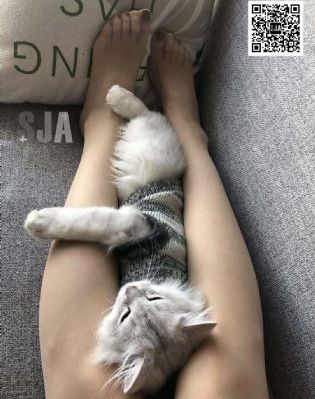 《爱你》电视剧_HD全集免费播放