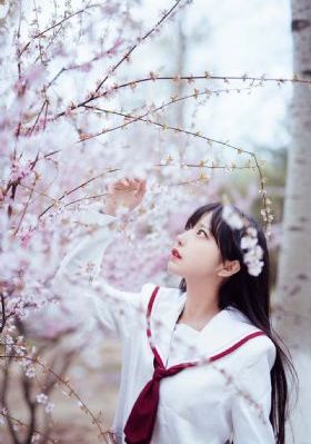 草莓榴莲向日葵www_免费手机在线看观看